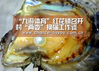 九游体育