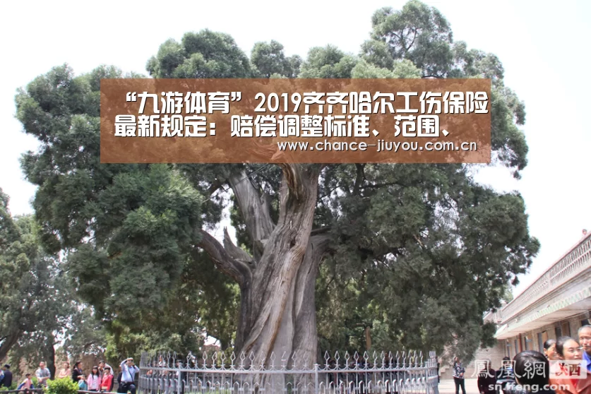 九游体育