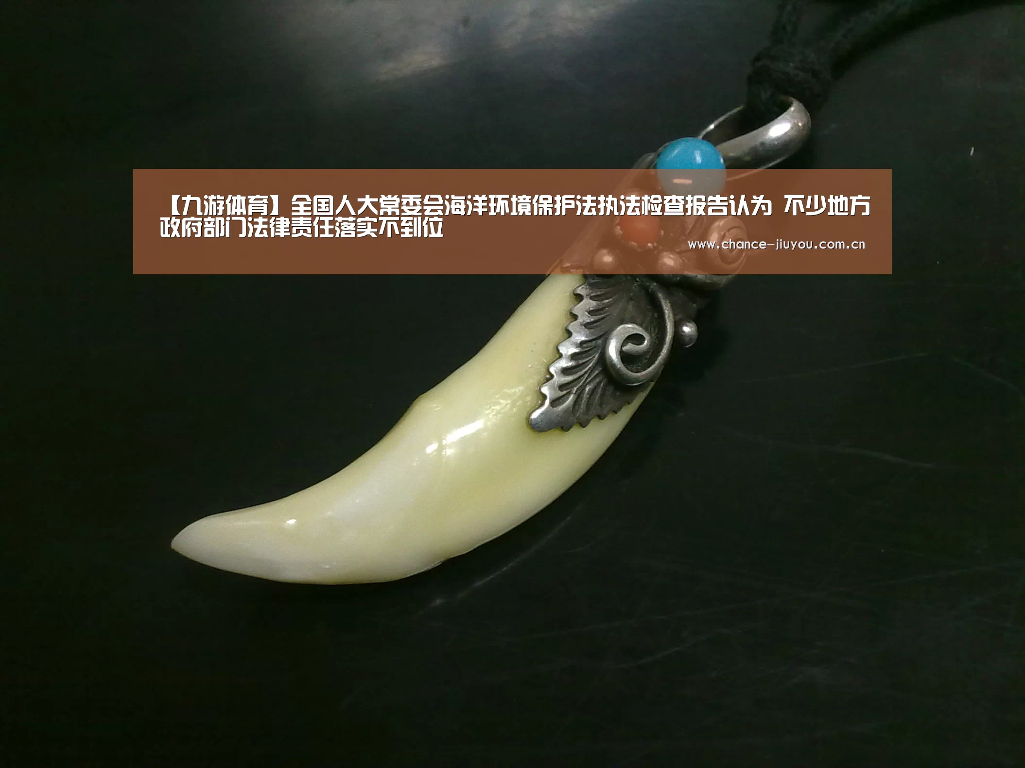 【九游体育】全国人大常委会海洋环境保护法执法检查报告认为 不少地方政府部门法律责任落实不到位(图1) 九游体育