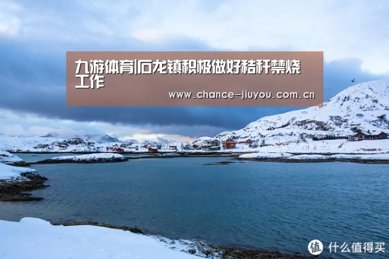 九游体育|石龙镇积极做好秸秆禁烧工作(图4) 九游体育