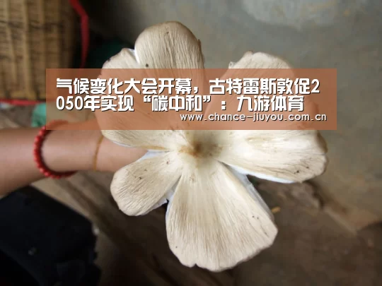 九游体育